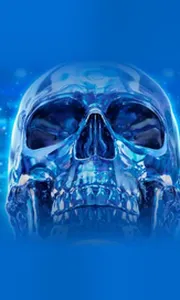 Crystal Skull