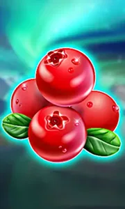 Winterberries