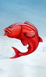 Ice Fishing