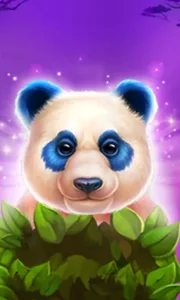 Luck of Panda: Bonus Combo