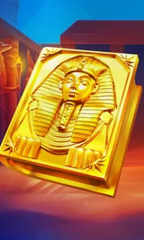 Book of Gold Multichance