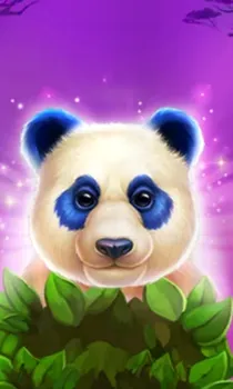 Luck of Panda: Bonus Combo